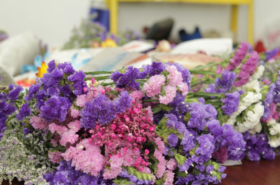 三八女神節(jié)，擎川給女神們送上驚喜！