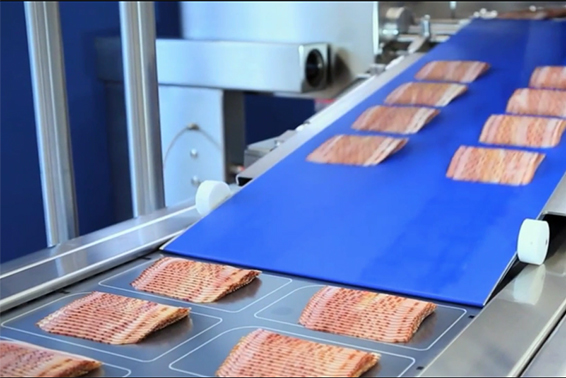 餃子、肉類食品輸送帶應(yīng)該怎么選擇