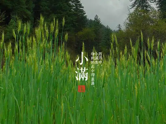 今日小滿，擎川與你一起靜待美滿！