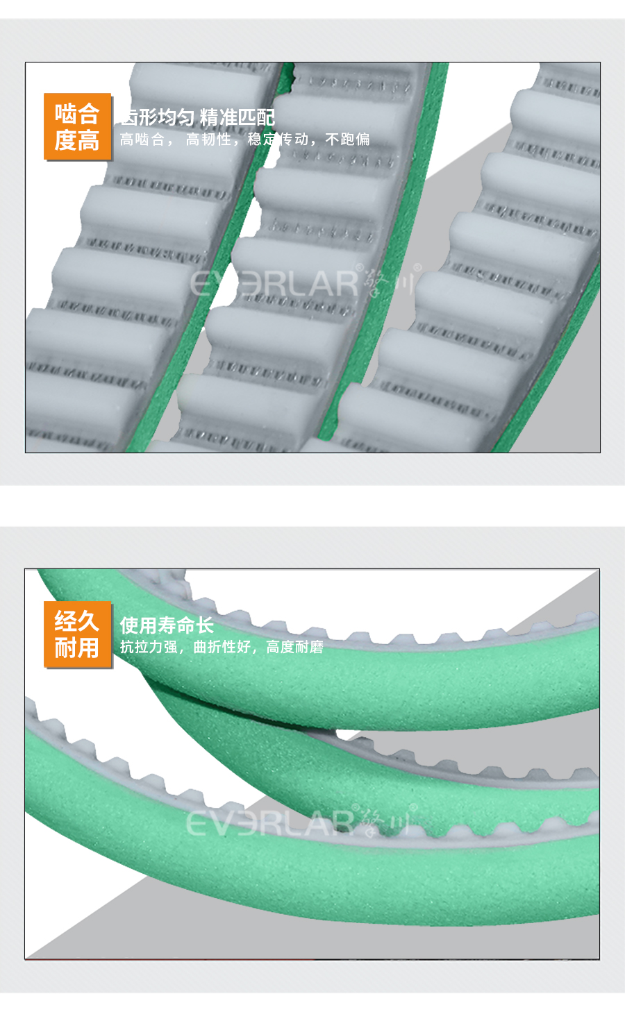 1670471081991367.jpg 同步帶pu模板_07.jpg