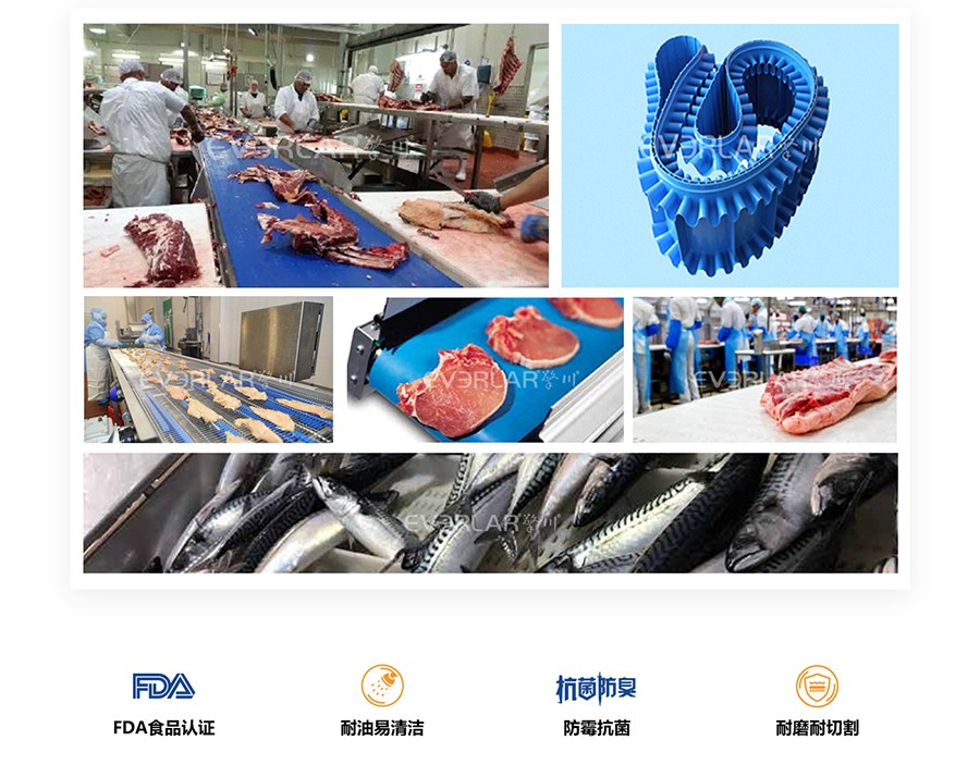 1768549040846442.jpg 易潔帶輸送案例圖.jpg